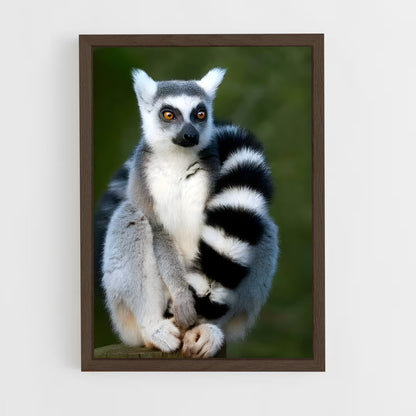 ap-lemur-4 cadre Bois foncé