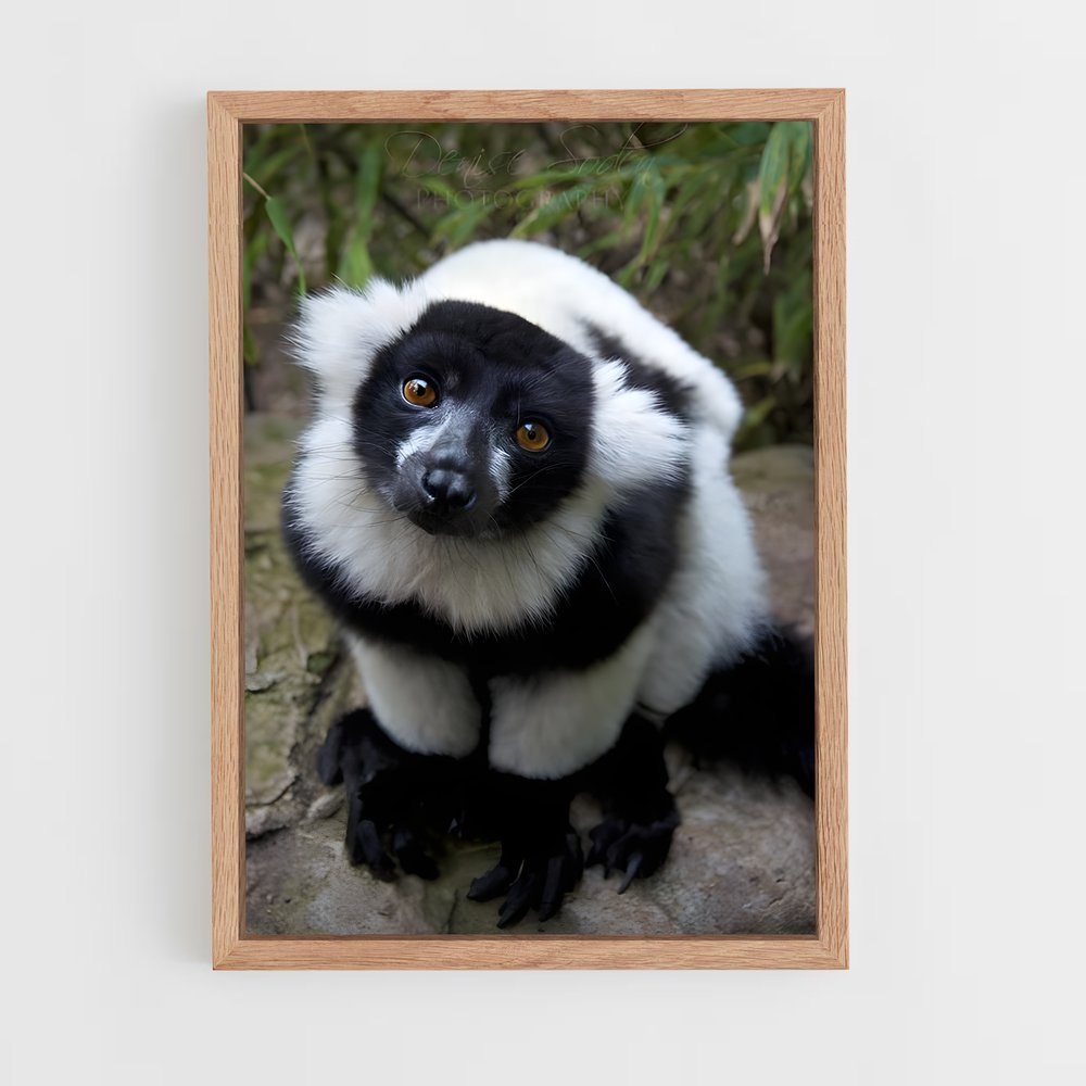 ap-lemur-5 cadre Bois clair