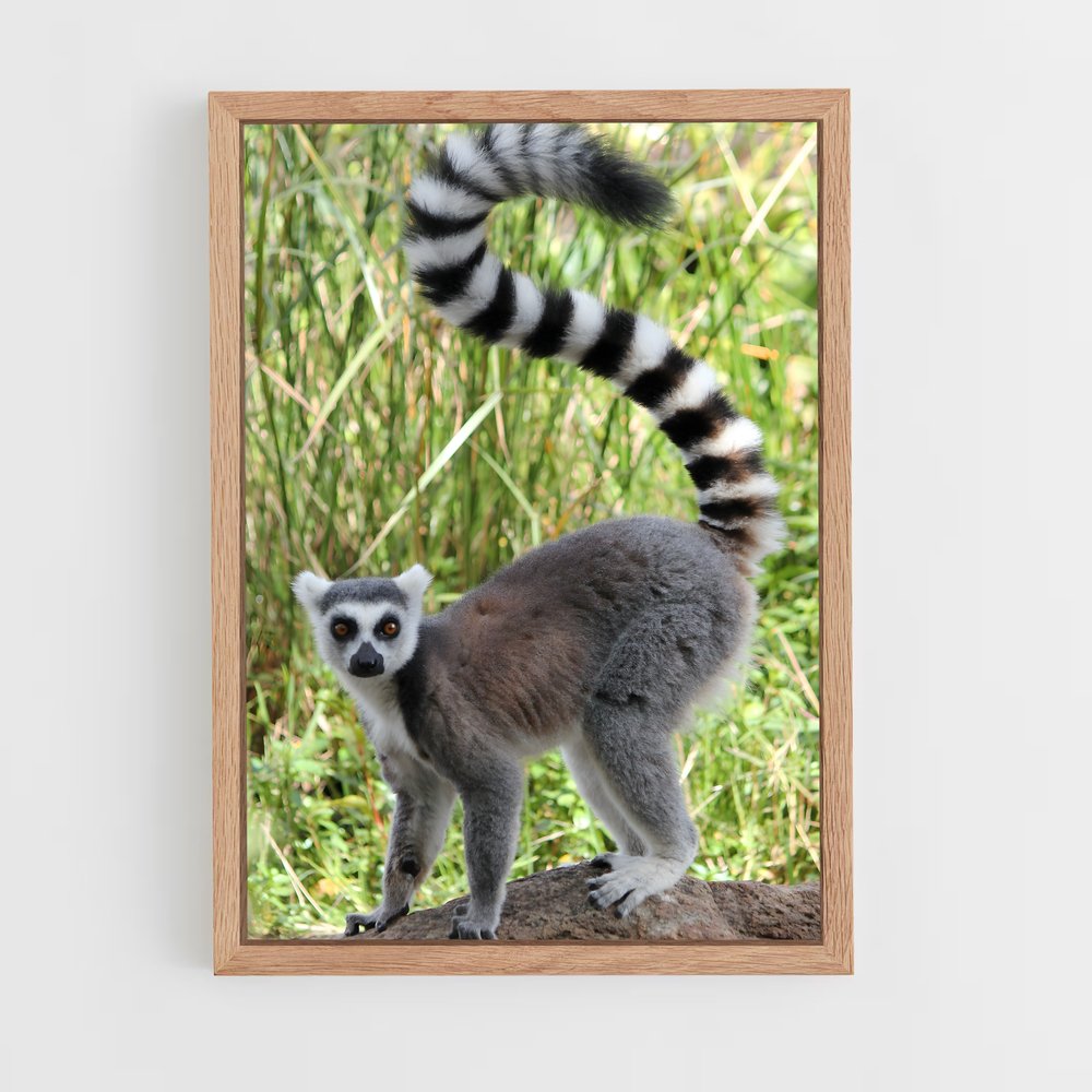 ap-lemur-6 cadre Bois clair