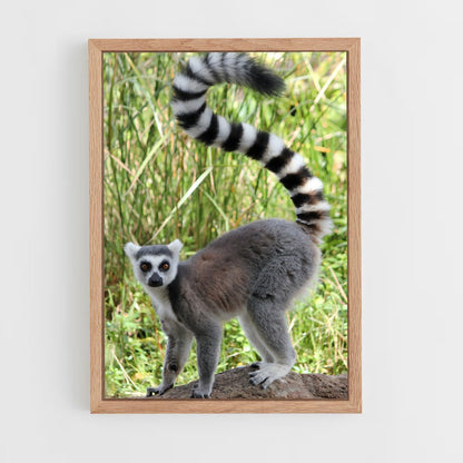 ap-lemur-6 cadre Bois clair