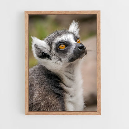 ap-lemur-7 cadre Bois clair