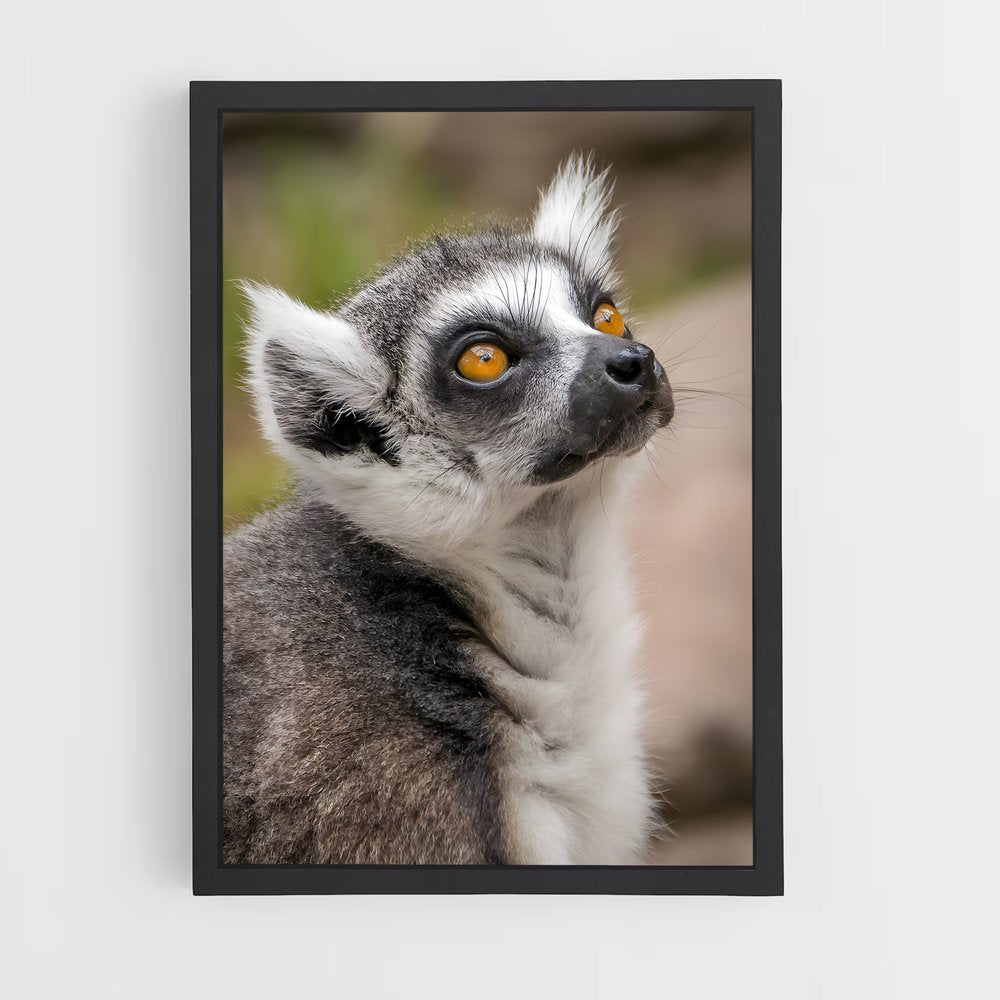 ap-lemur-7 cadre Noir