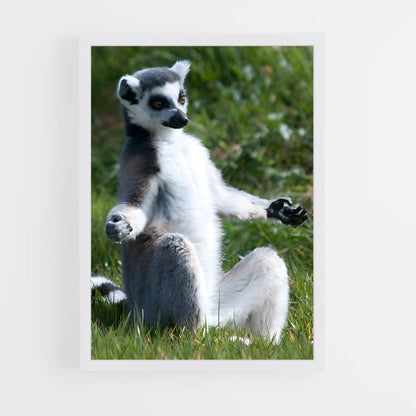 ap-lemur-8 cadre Blanc