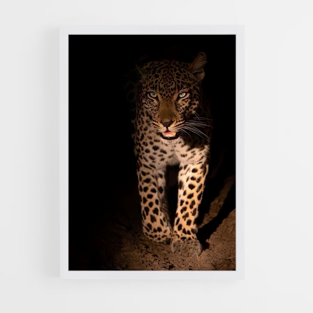 ap-leopard-5 cadre Blanc