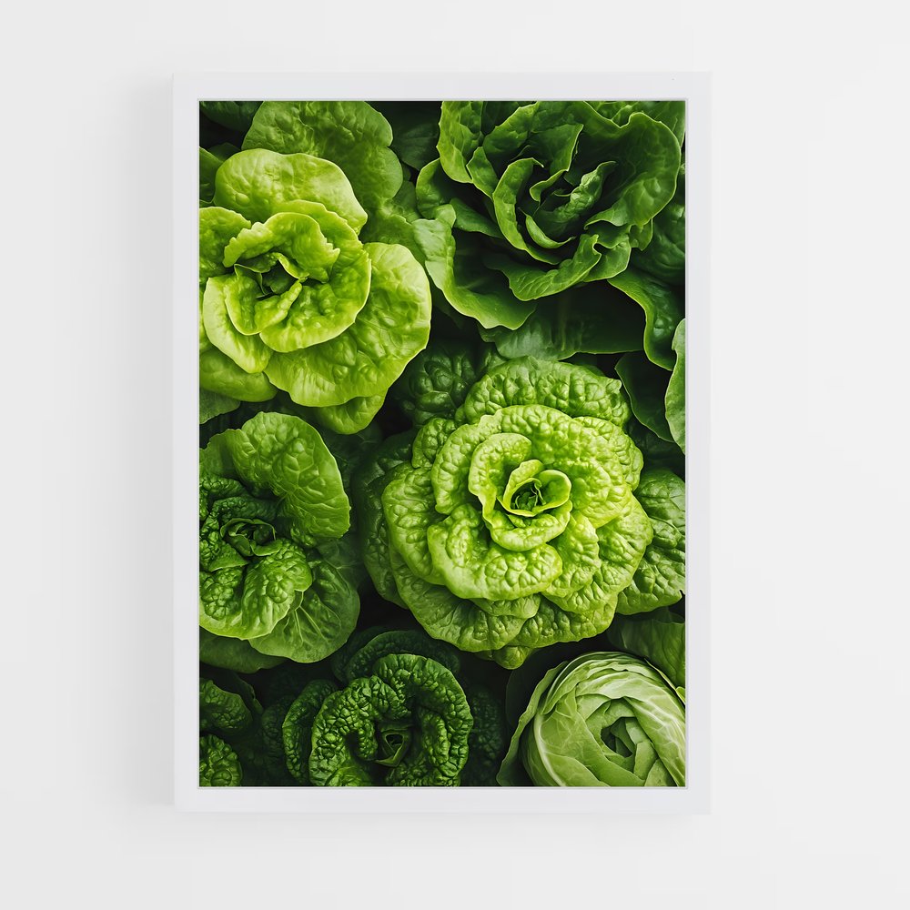 ap-lettuce-1 cadre Blanc