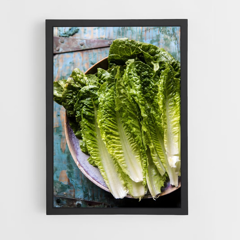 ap-lettuce-3 cadre Noir