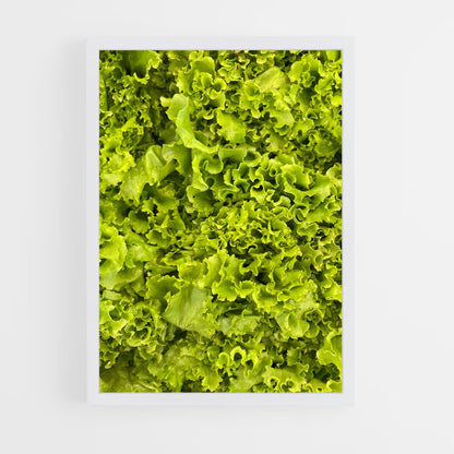 ap-lettuce-5 cadre Blanc