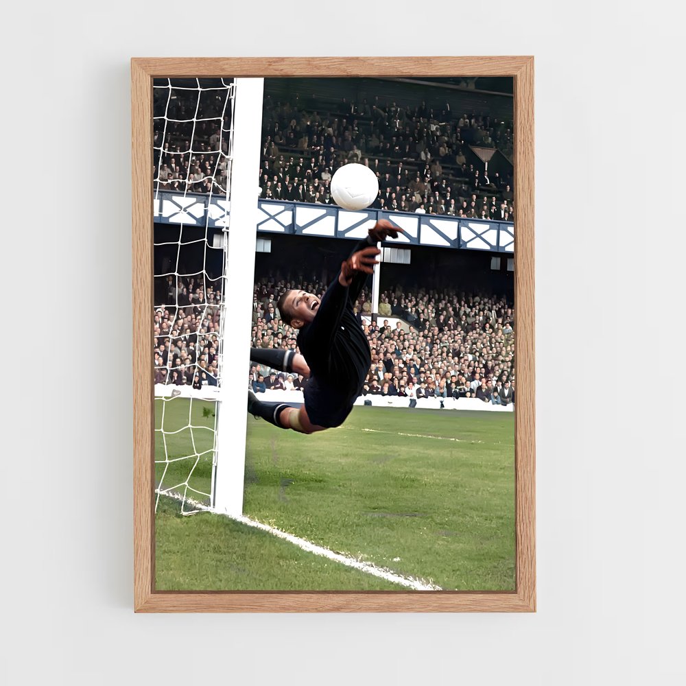 ap-lev yashin-5 cadre Bois clair