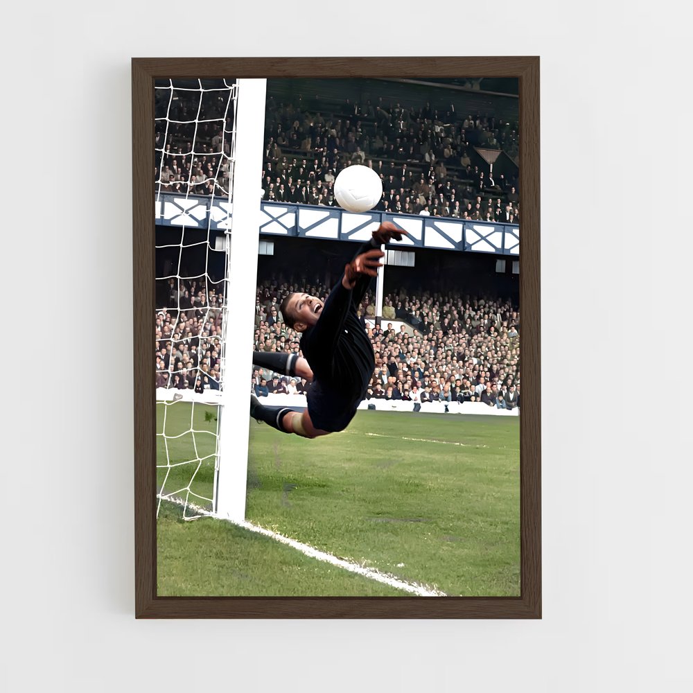ap-lev yashin-5 cadre Bois foncé