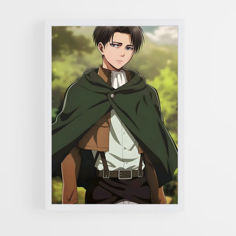 ap-levi ackerman-1 cadre Blanc