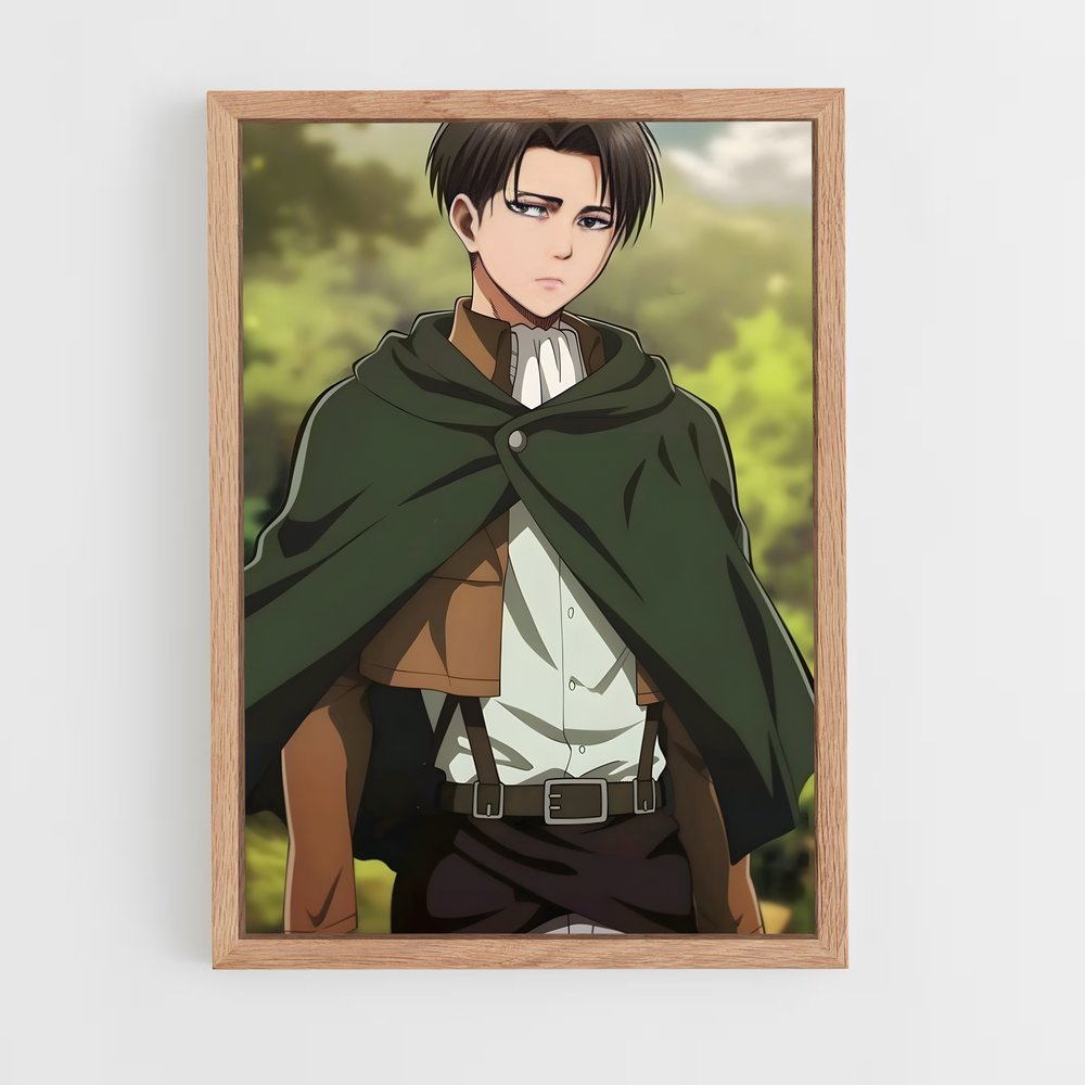 ap-levi ackerman-1 cadre Bois clair