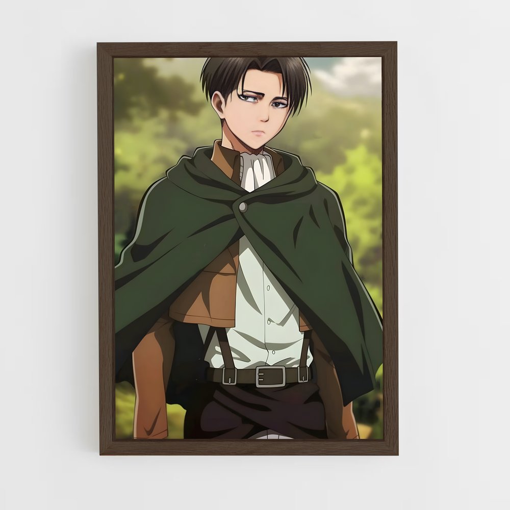 ap-levi ackerman-1 cadre Bois foncé