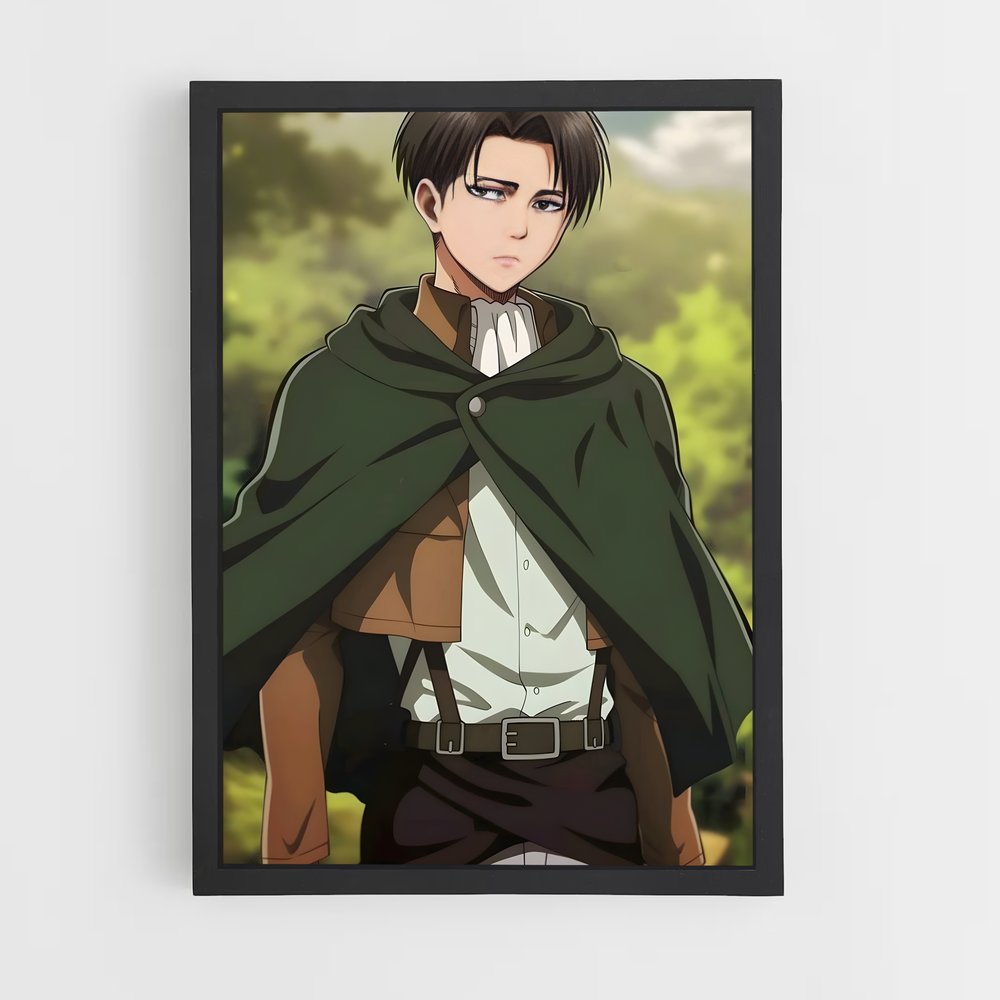 ap-levi ackerman-1 cadre Noir