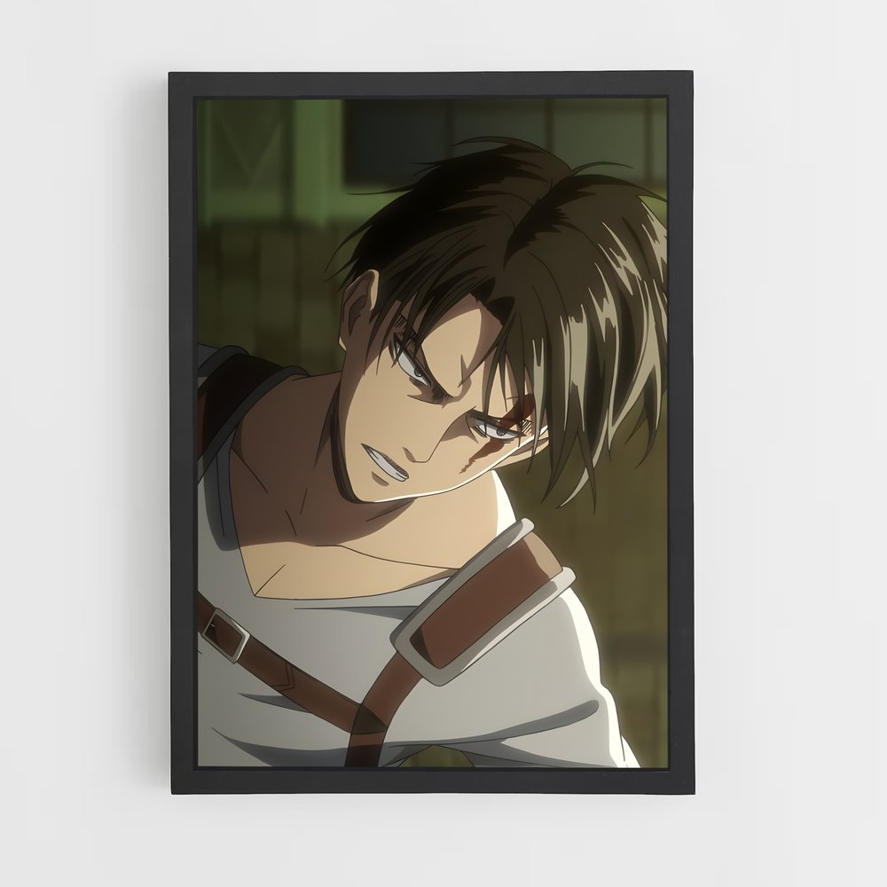 ap-levi ackerman-12 cadre Noir