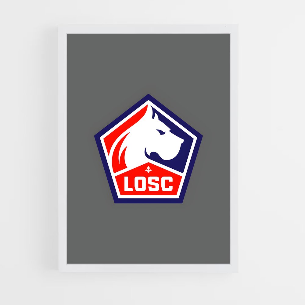 ap-lille osc-9 cadre Blanc