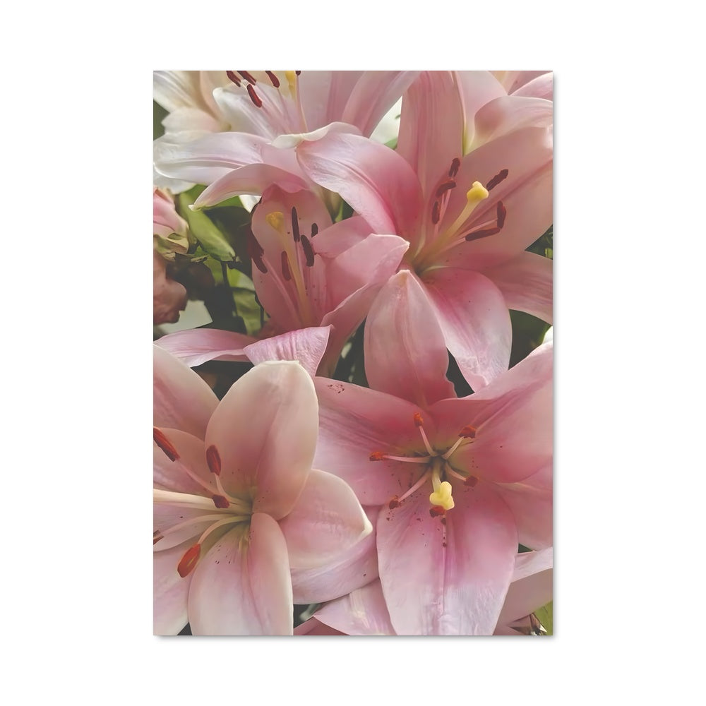 Poster Fleurs en Douceur