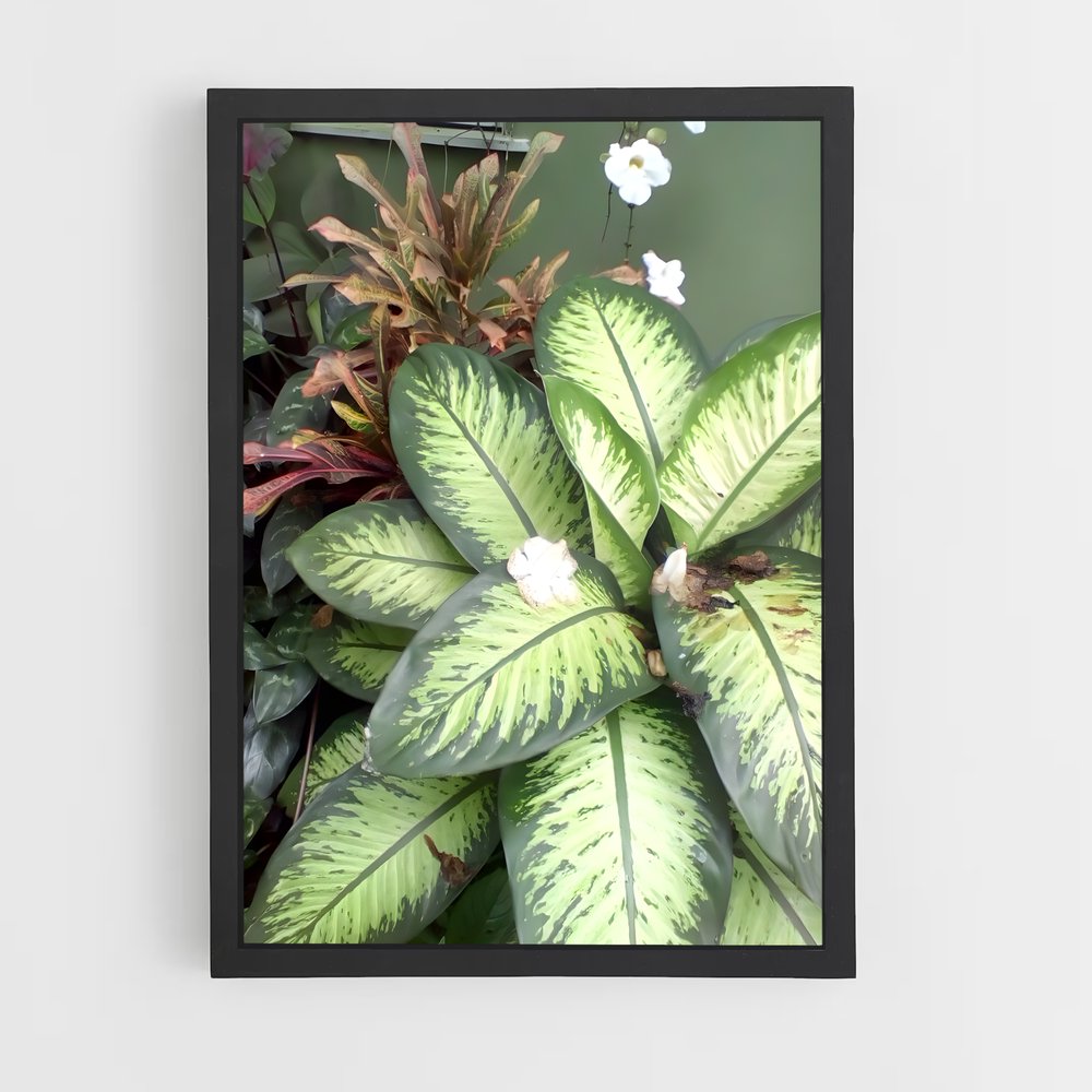 ap-linden-3 cadre Noir
