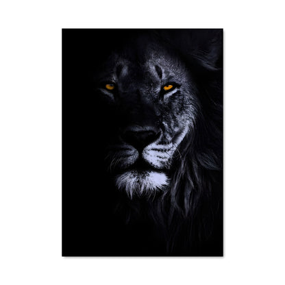 Poster Regard de Fauve