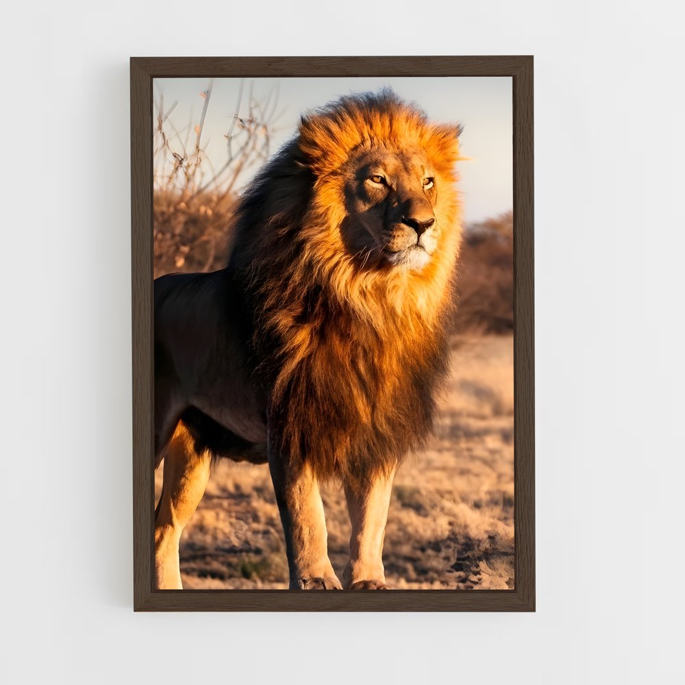 ap-lion-3 cadre Bois foncé
