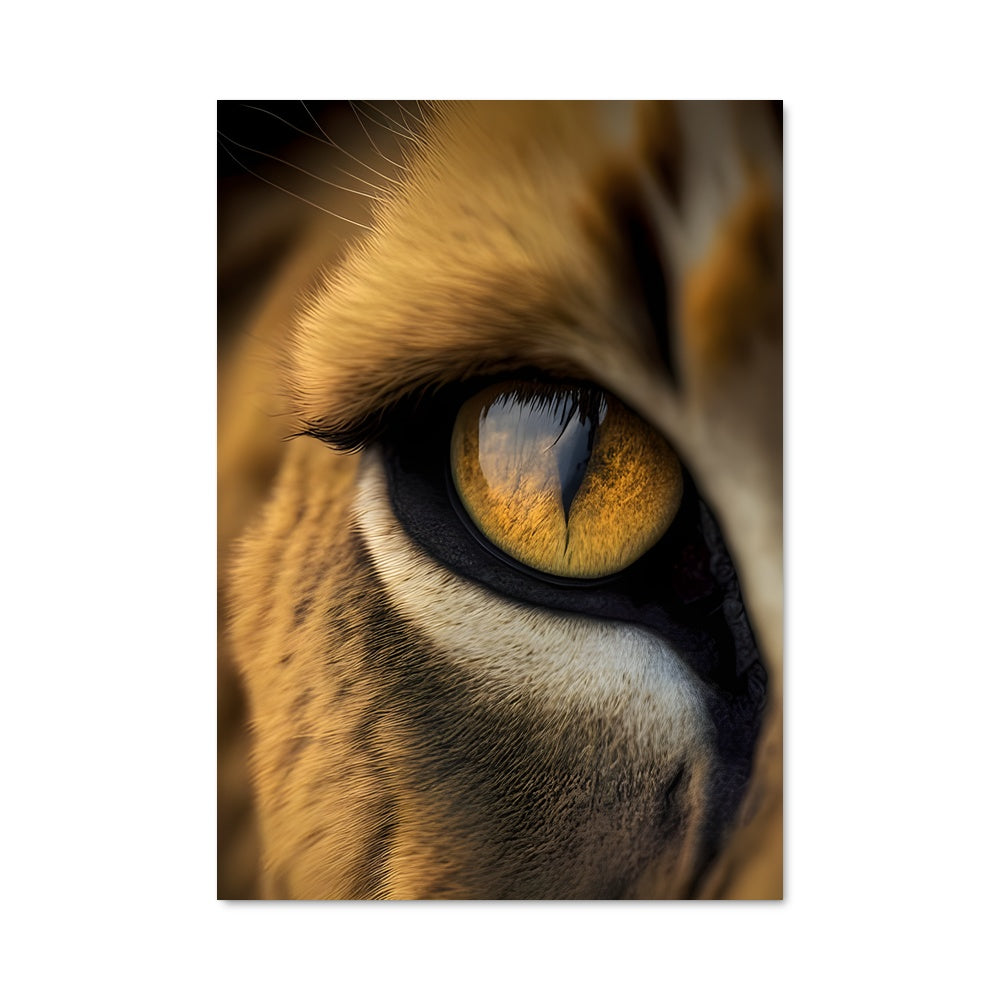 Poster Oeil de Lion