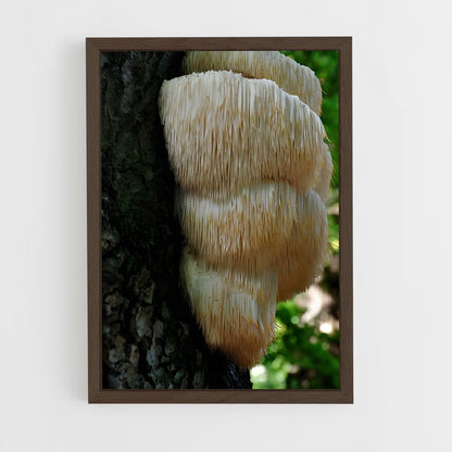 ap-lion's mane-1 cadre Bois foncé