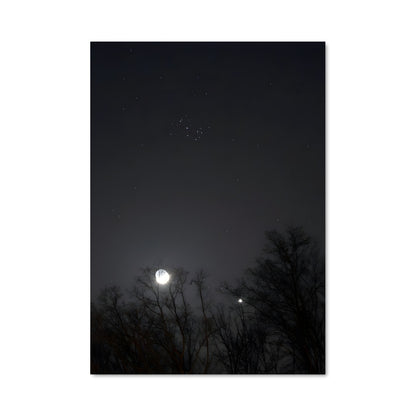 Poster Little dipper 97267