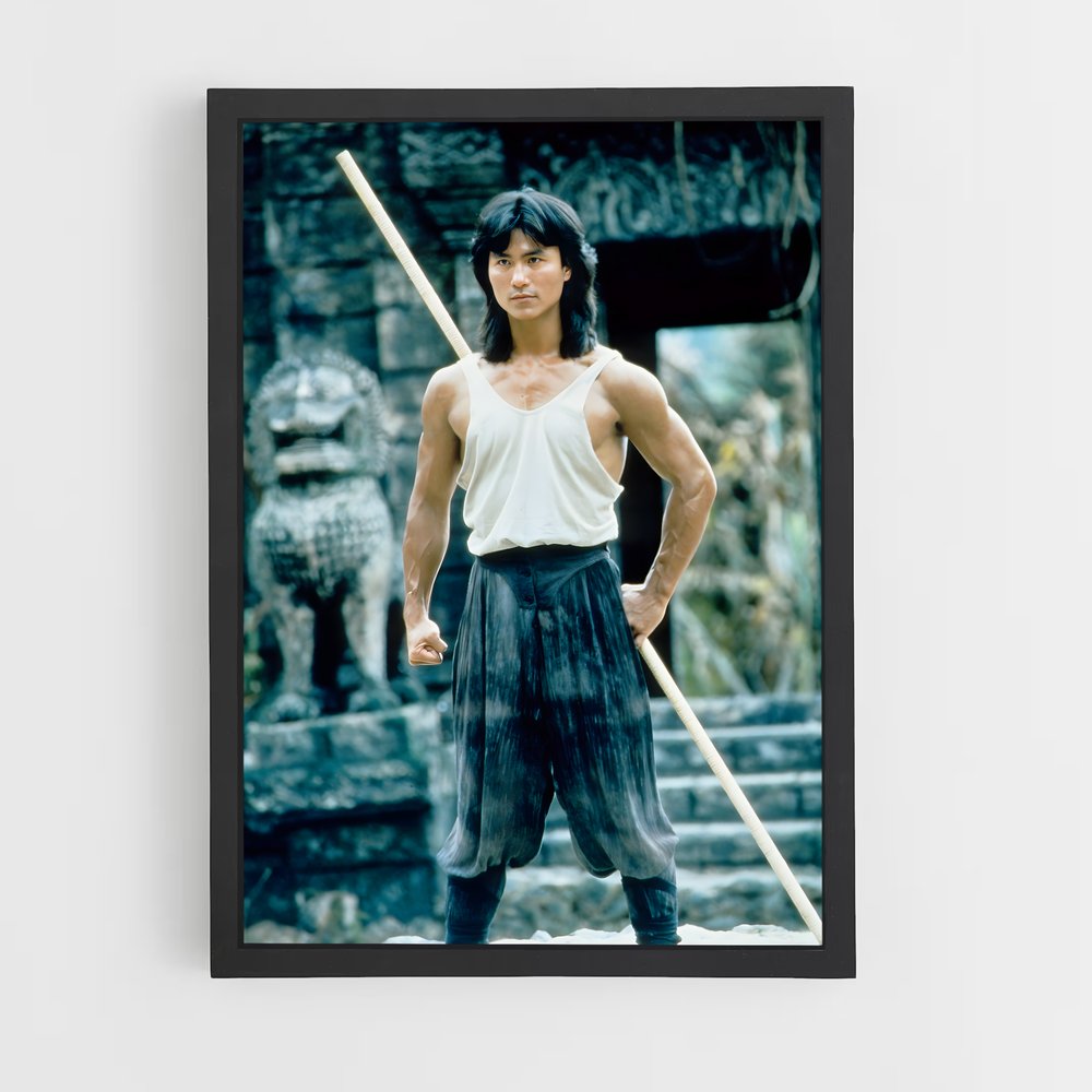 ap-liu kang-6 cadre Noir