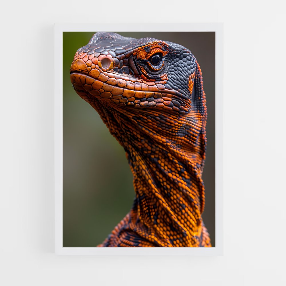 ap-lizard-1 cadre Blanc