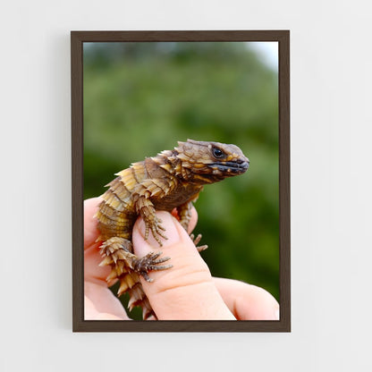 ap-lizard-3 cadre Bois foncé