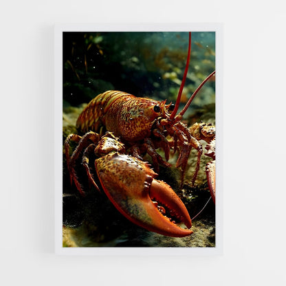 ap-lobster-2 cadre Blanc