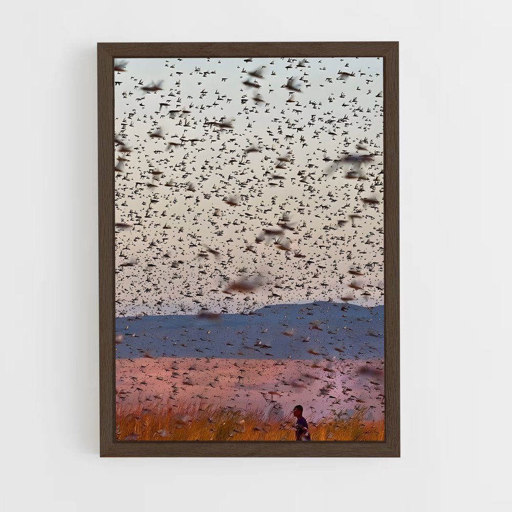 ap-locust-2 cadre Bois foncé