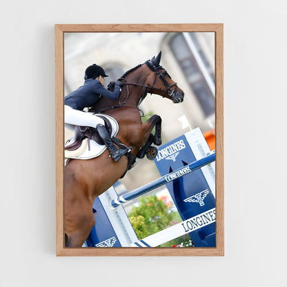 ap-longines global champions tour-2 cadre Bois clair
