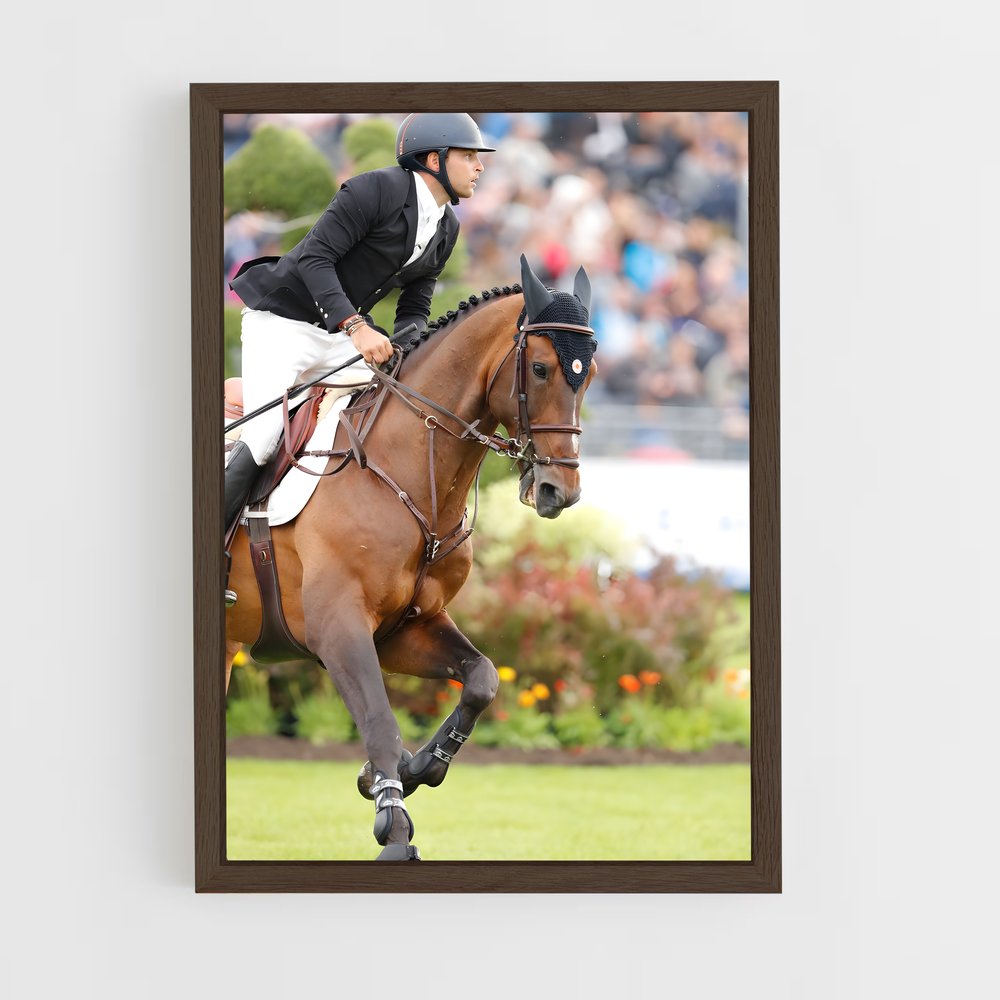 ap-longines global champions tour-4 cadre Bois foncé