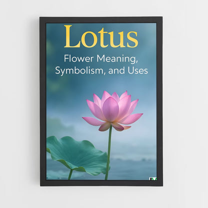 ap-lotus flower-10 cadre Noir