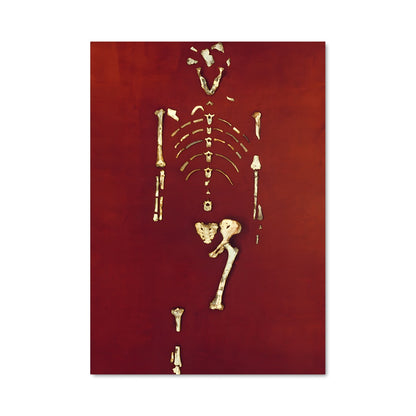 Poster Lucy Fossil
