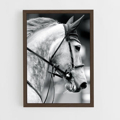 ap-ludger beerbaum-5 cadre Bois foncé