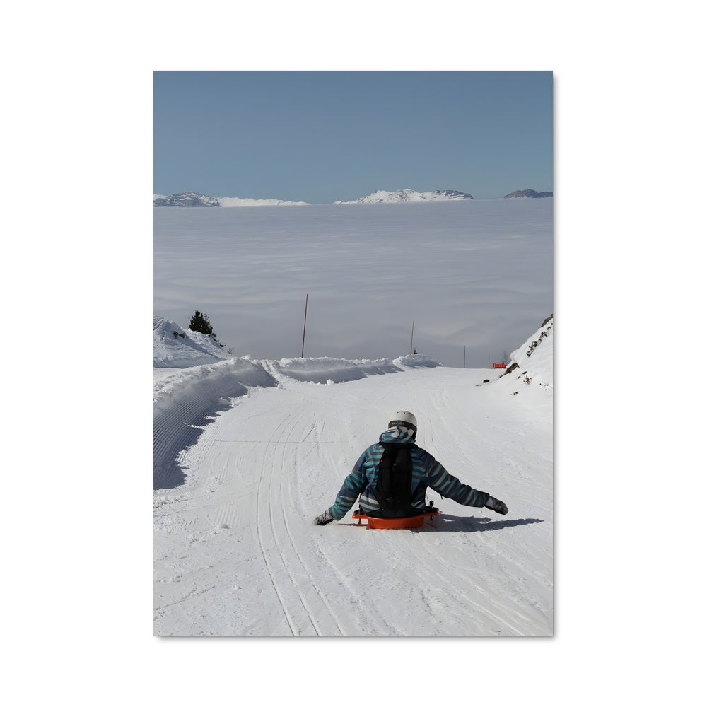 Poster Luge 75621