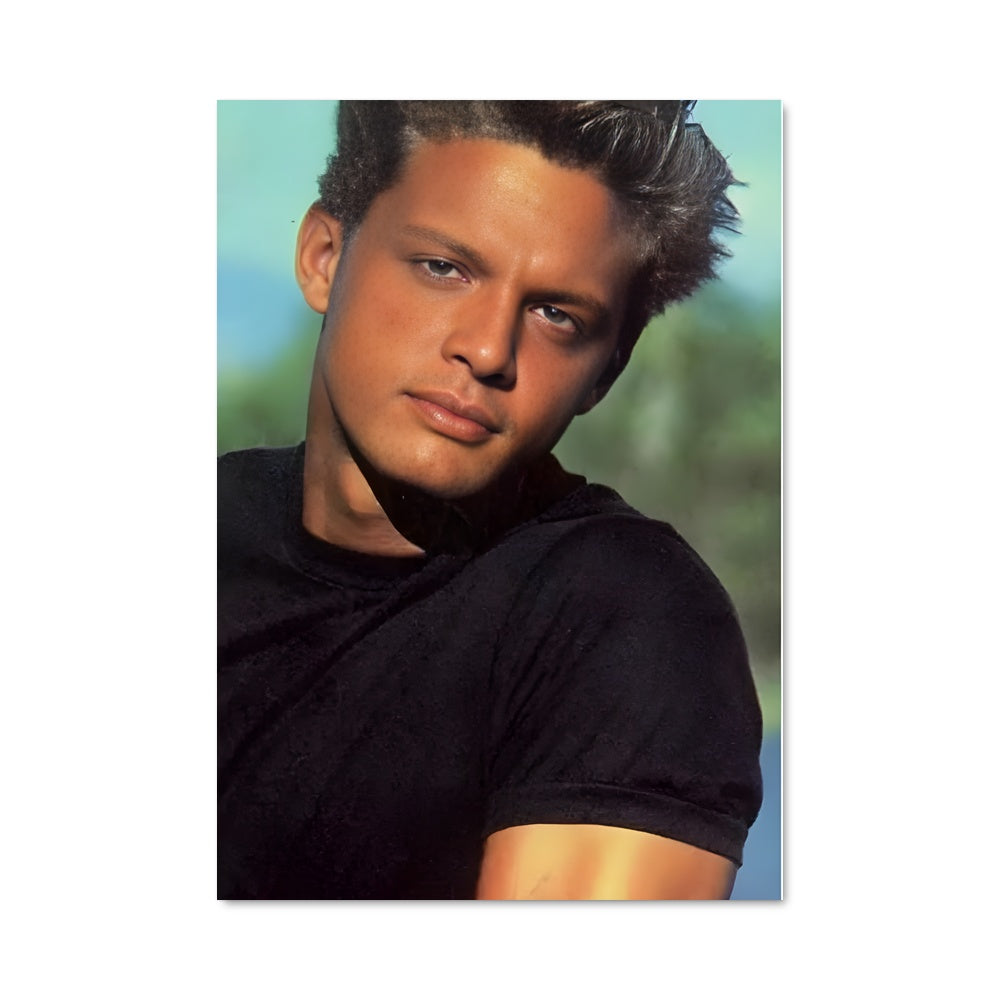 Poster Luis miguel 51890
