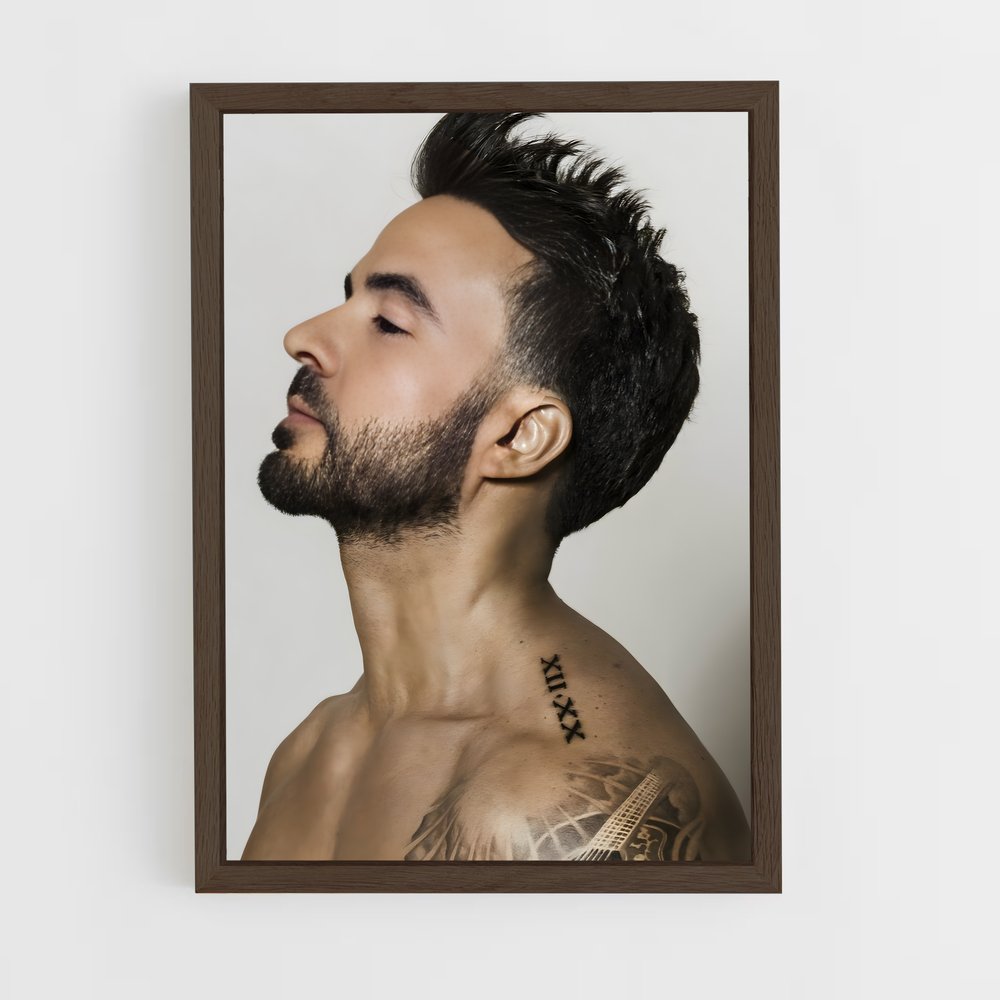 ap-luis fonsi-4 cadre Bois foncé
