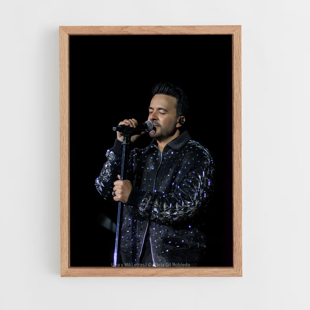 ap-luis fonsi-8 cadre Bois clair