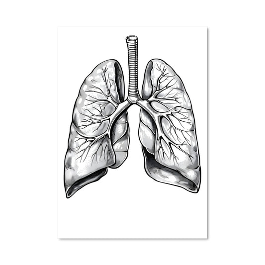 Poster Respiration Artiste