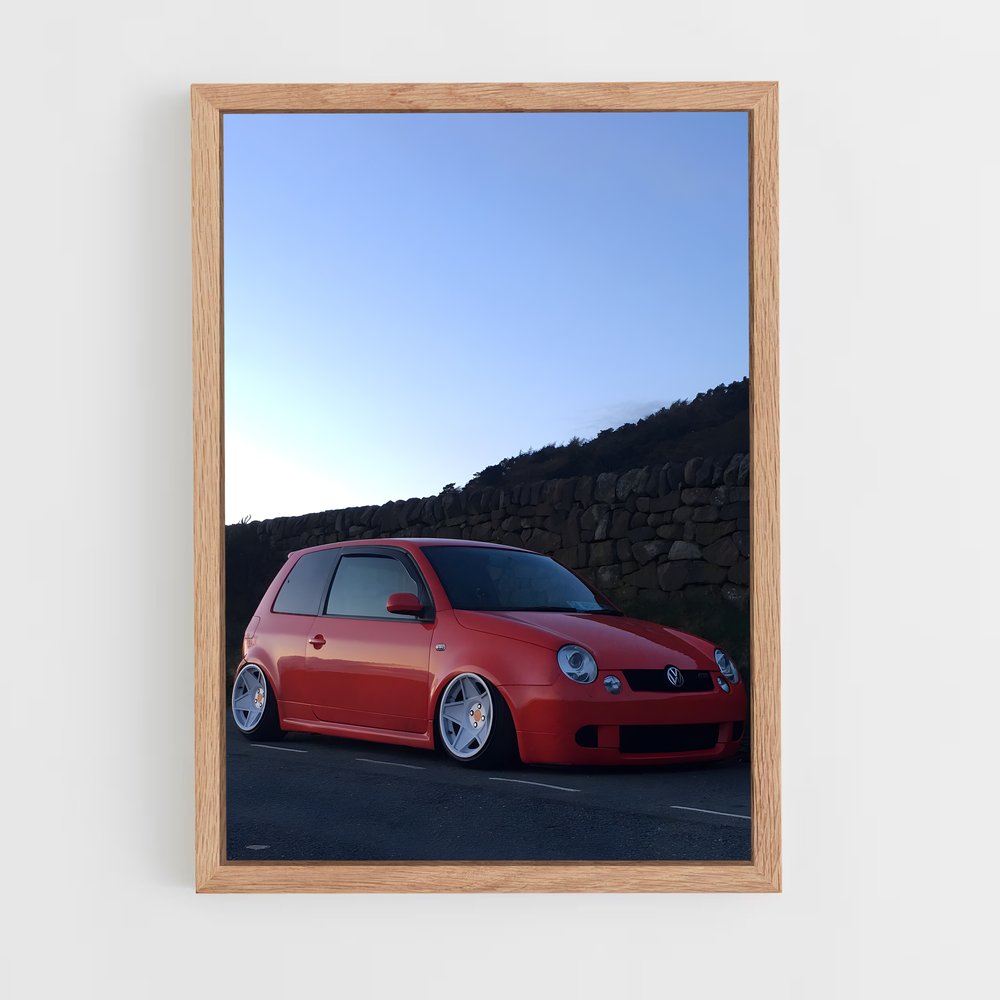 ap-lupo gti-1 cadre Bois clair