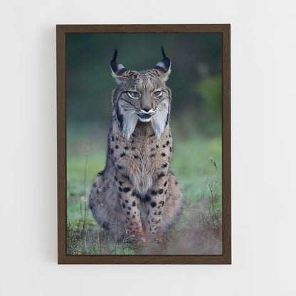 ap-lynx-1 cadre Bois foncé