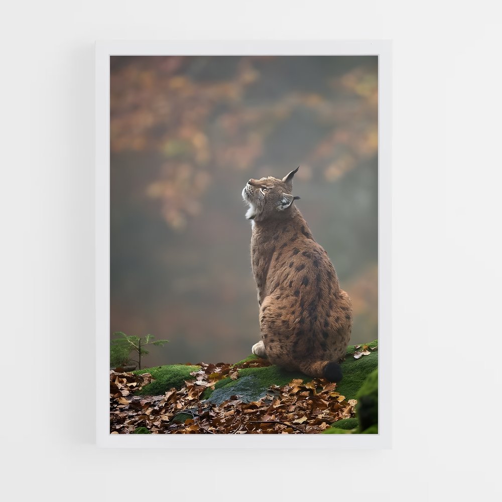 ap-lynx-3 cadre Blanc