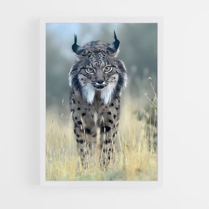 ap-lynx-5 cadre Blanc