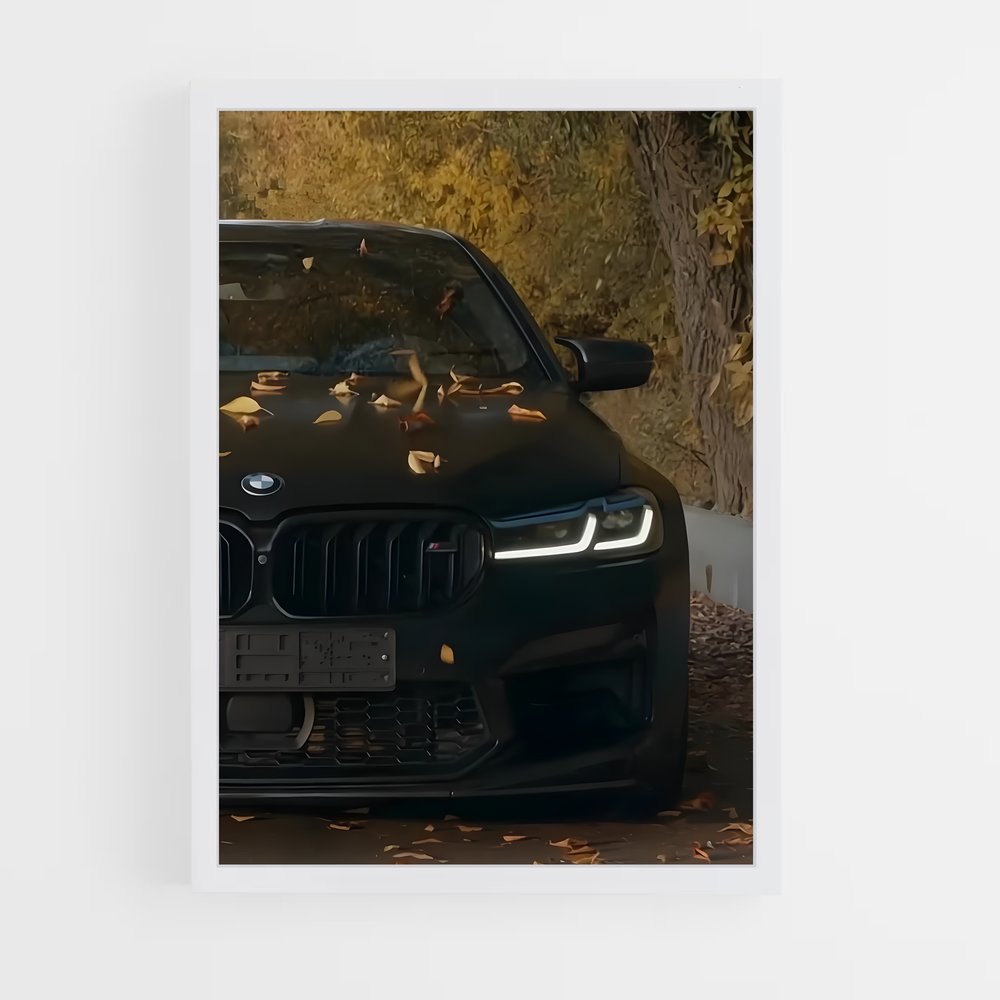 ap-m5 competition-4 cadre Blanc