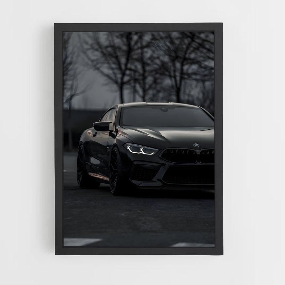 ap-m8 competition-7 cadre Noir