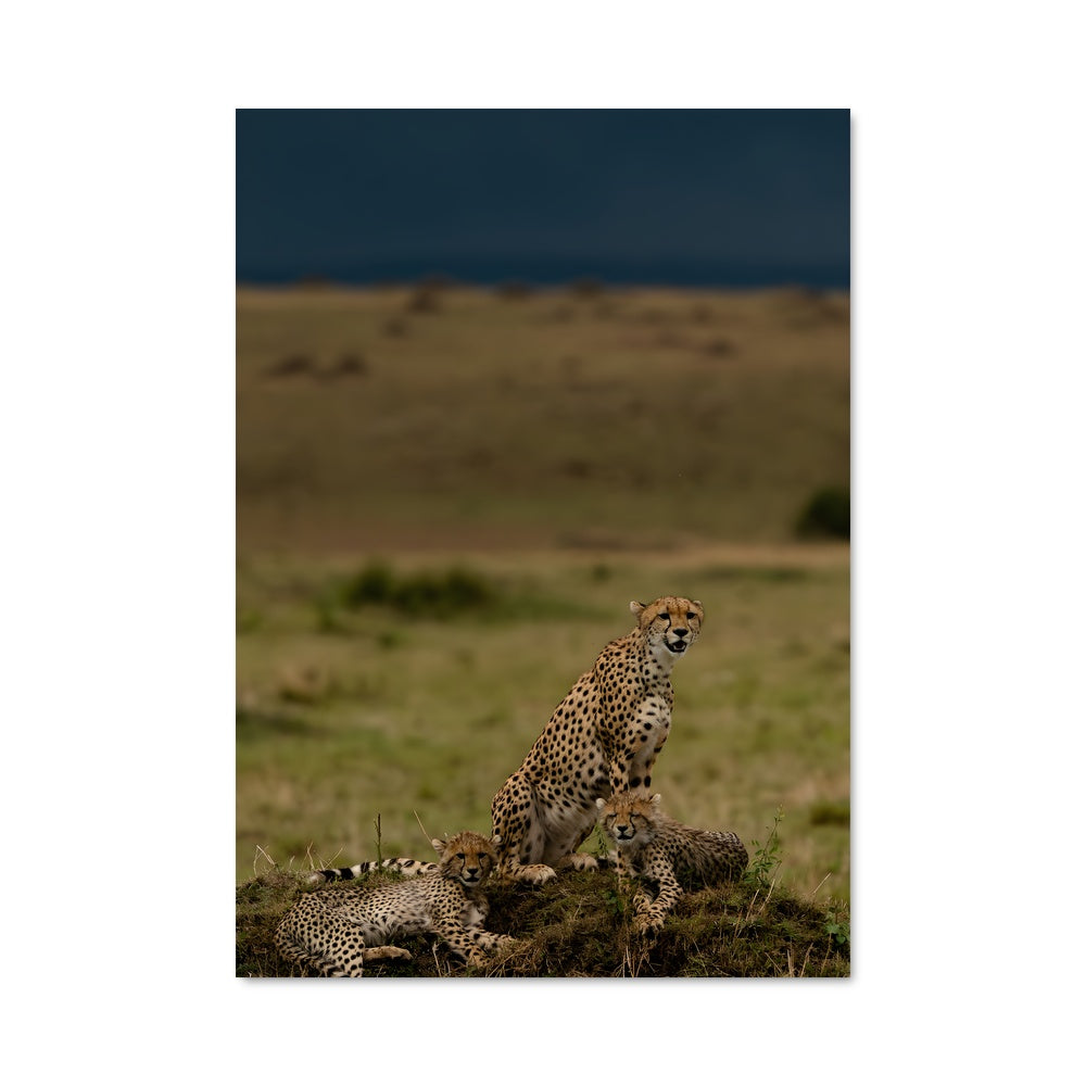 Poster Maasai mara national reserve 86534