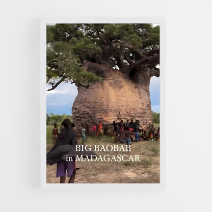 ap-madagascar-12 cadre Blanc