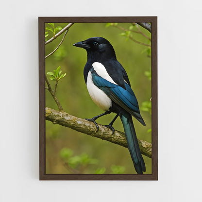 ap-magpie-3 cadre Bois foncé